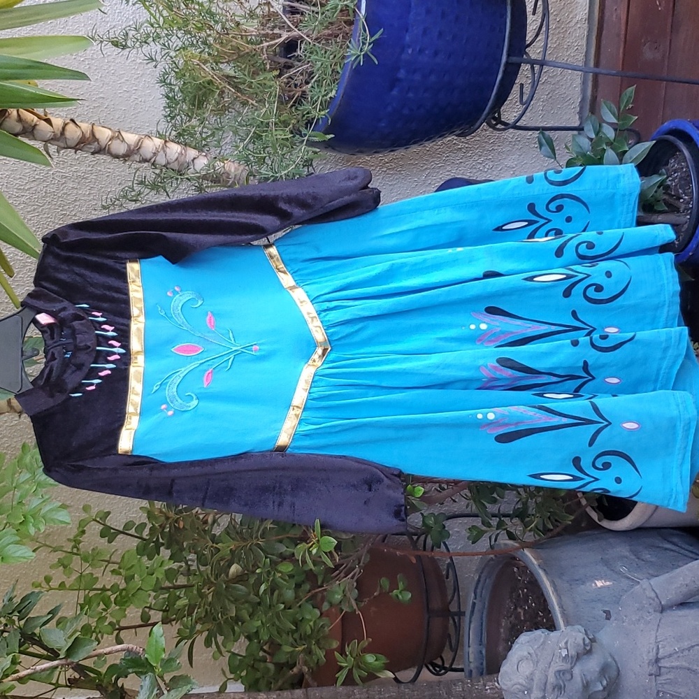 Disney Frozen Anna Costume every day dress 4T